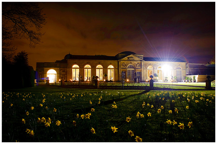 Woburn Sculpture Gallery wedding at night daffodils in fore ground