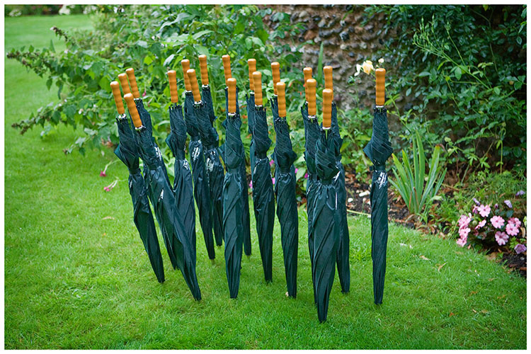 umbrellas stuck in the lawn